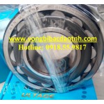 BẠC ĐẠN 22316-EAD1 NTN